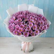 Букет цветов из:  Хризантемы в Башмаково