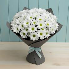 Букет цветов из:  Хризантемы в Башмаково
